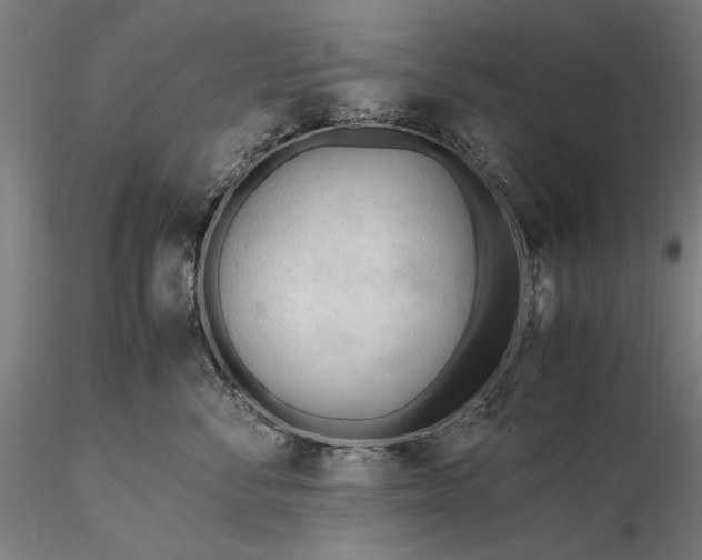 X0000116310716200912141358