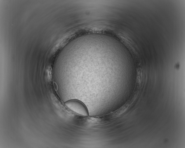 X0000116310718200912141358