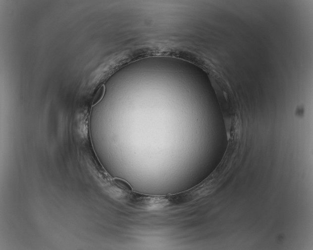 X0000116310719200912141358