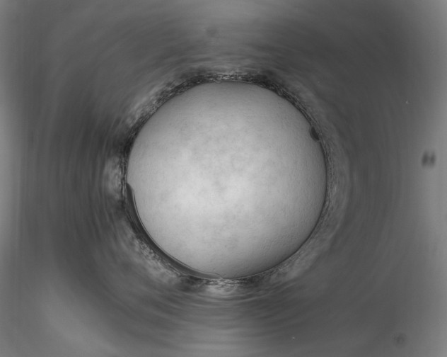 X0000116310720200912141358