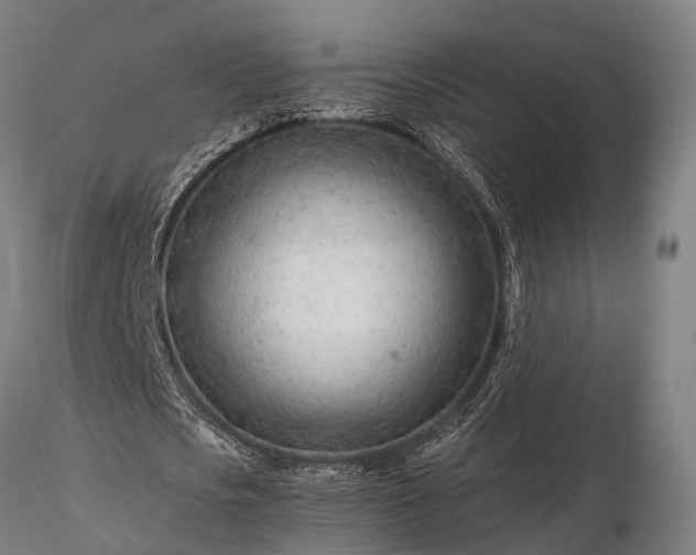 X0000116310721200912141358