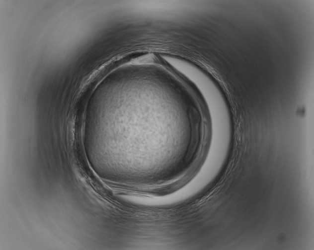 X0000116310722200912141358