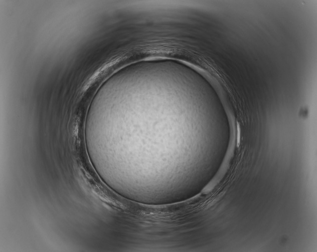 X0000116310723200912141358