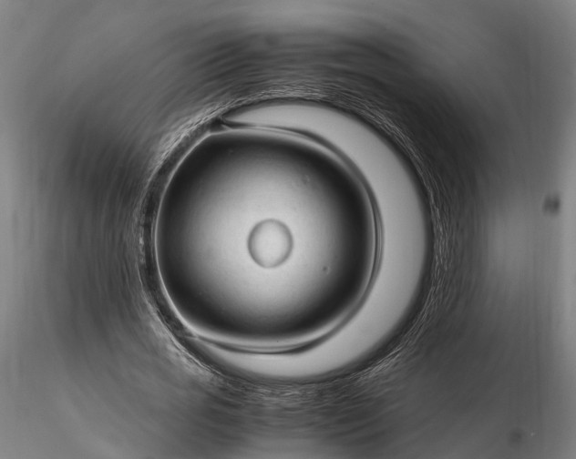 X0000116310725200912141358