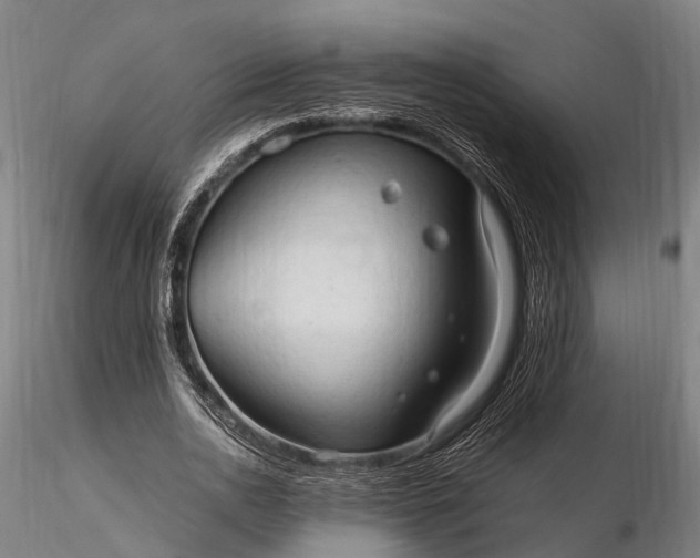 X0000116310726200912141358