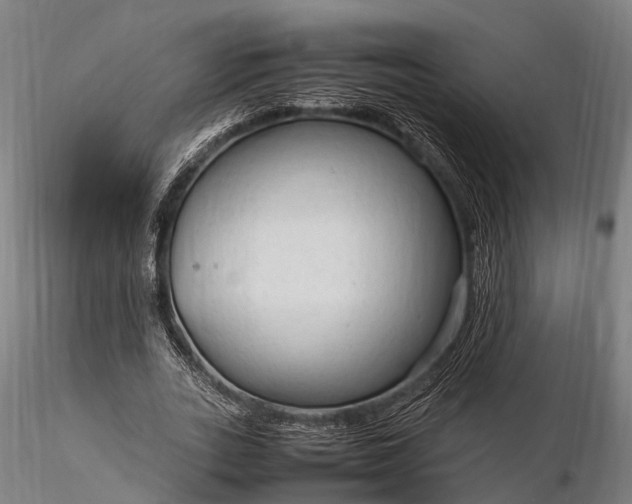 X0000116310727200912141358