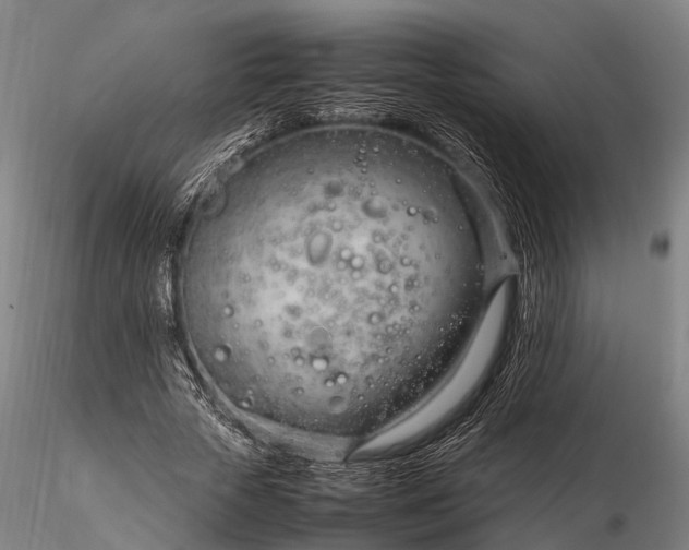 X0000116310729200912141358