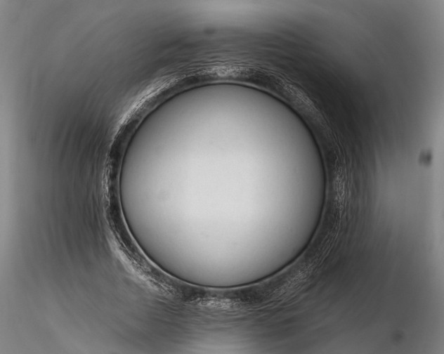 X0000116310730200912141358