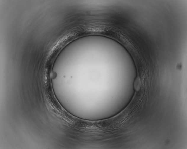 X0000116310731200912141358