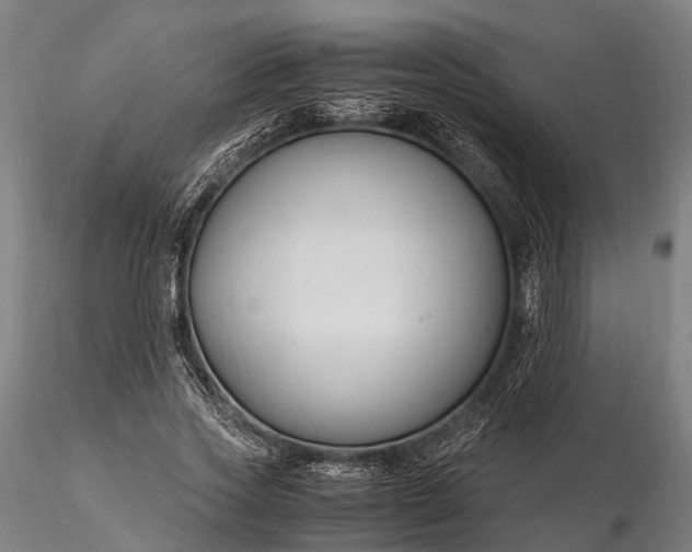 X0000116310733200912141358