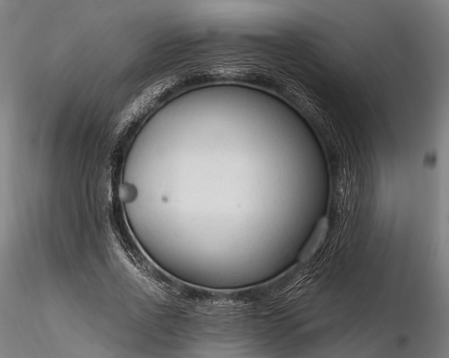 X0000116310734200912141358