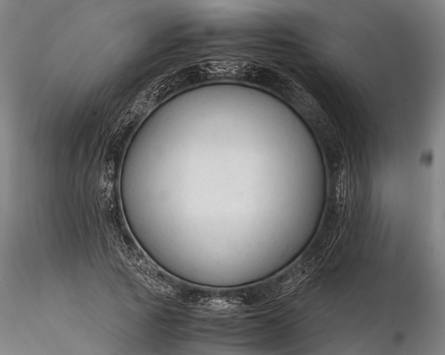 X0000116310737200912141358