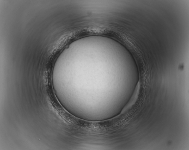 X0000116310738200912141358