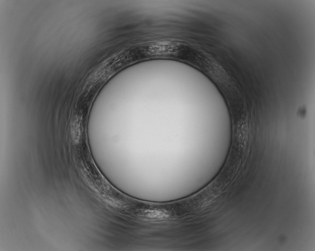 X0000116310741200912141358