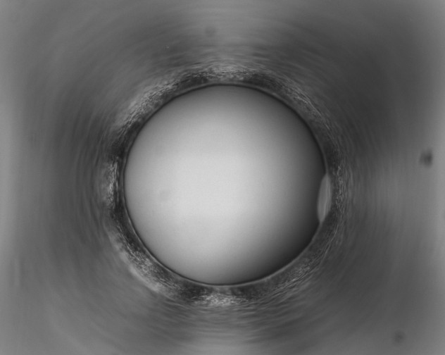 X0000116310742200912141358