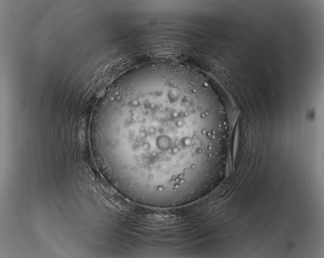 X0000116310745200912141358