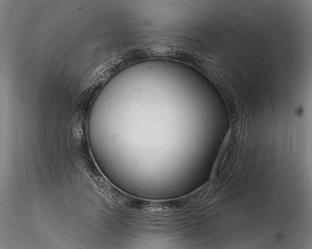 X0000116310746200912141358