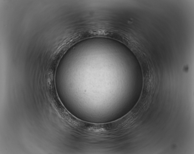 X0000116310747200912141358