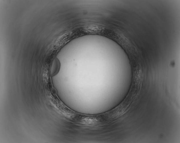 X0000116310749200912141358