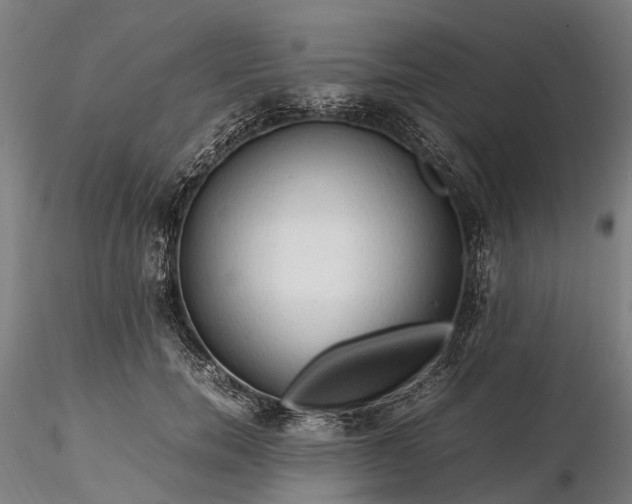 X0000116310750200912141358