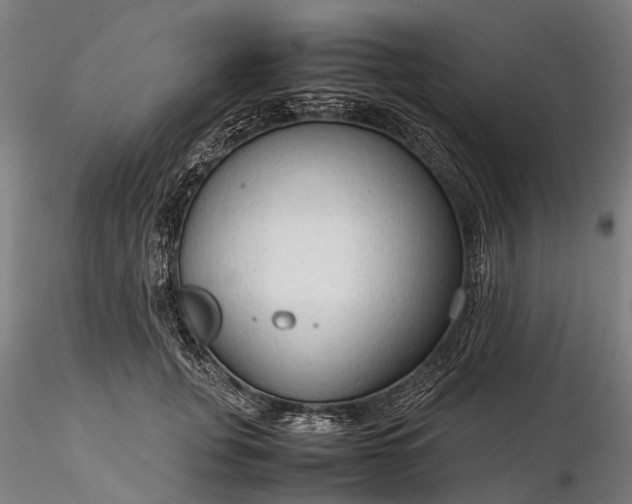 X0000116310751200912141358