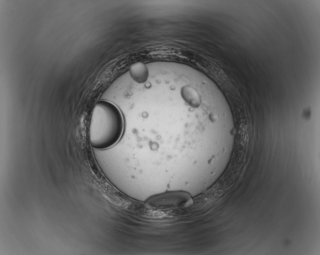 X0000116310753200912141358