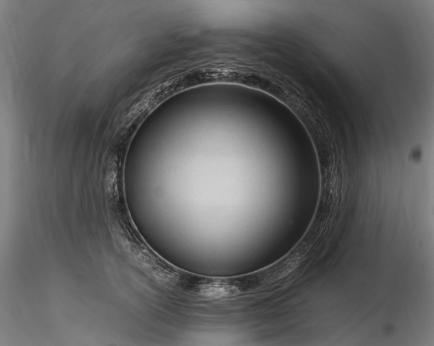 X0000116310754200912141358