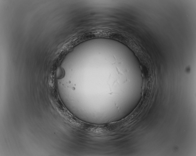 X0000116310755200912141358