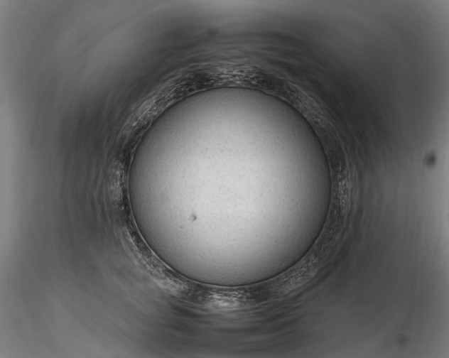 X0000116310757200912141358