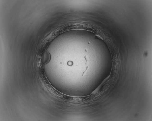 X0000116310758200912141358