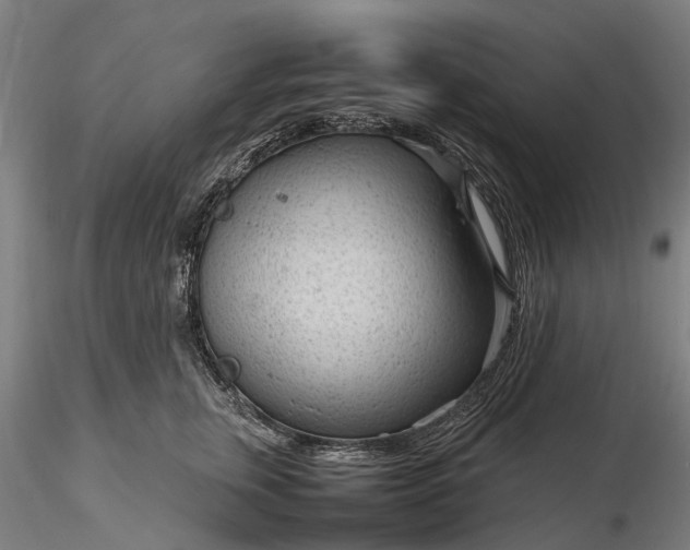 X0000116310759200912141358