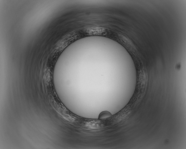 X0000116310761200912141358