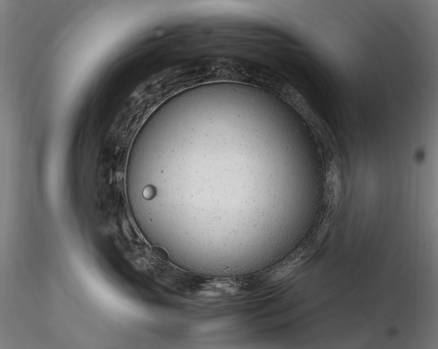 X0000116310765200912141358