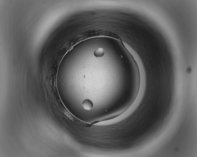 X0000116310766200912141358