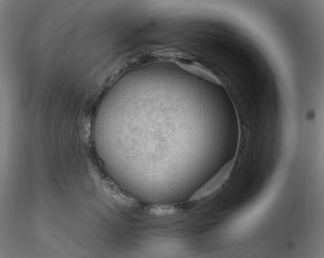 X0000116310767200912141358