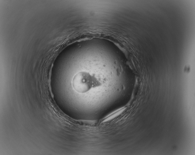 X0000116310769200912141358