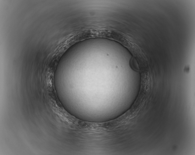 X0000116310770200912141357