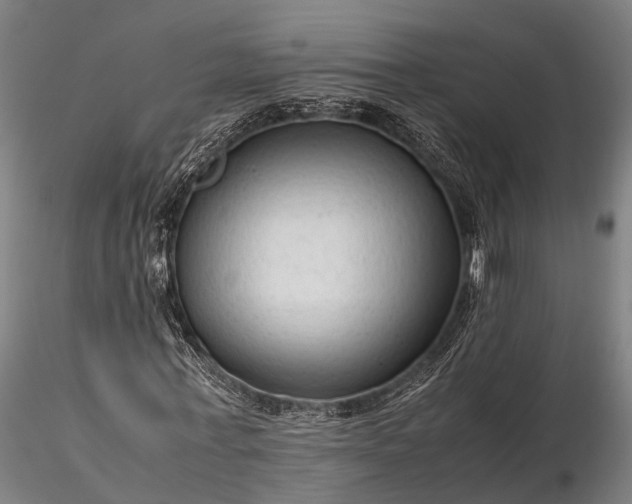 X0000116310771200912141357