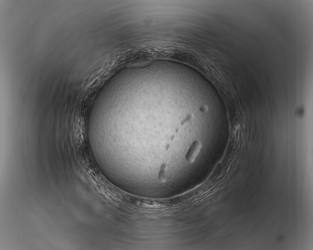 X0000116310772200912141357