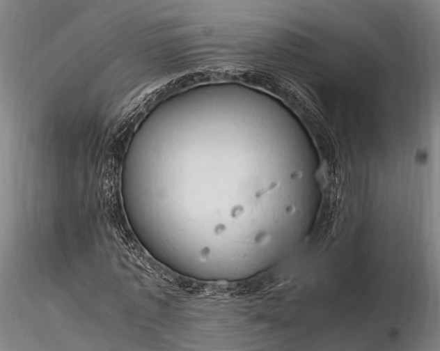 X0000116310773200912141357