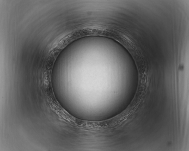 X0000116310774200912141357