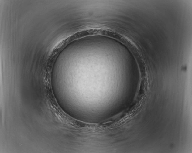 X0000116310775200912141357