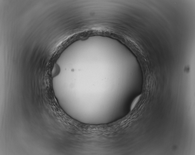 X0000116310776200912141357