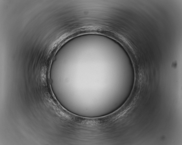 X0000116310778200912141357