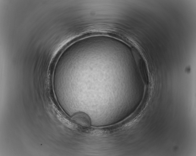 X0000116310779200912141357