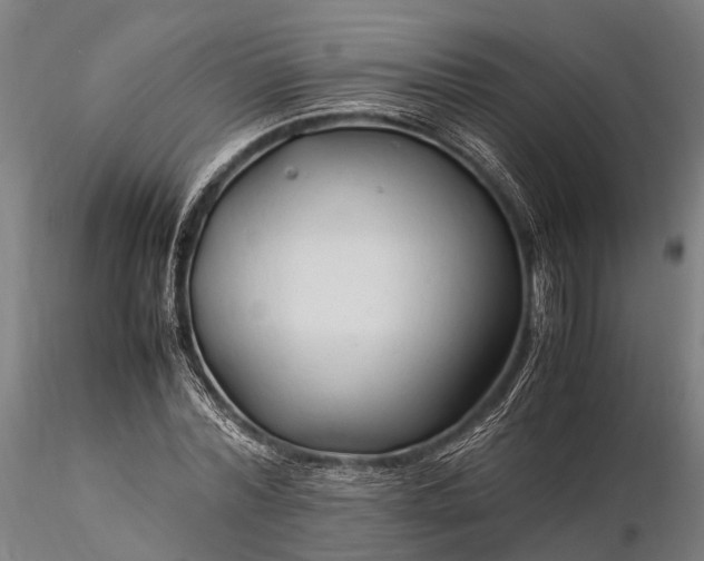 X0000116310780200912141357