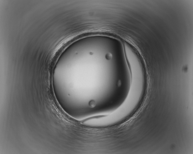 X0000116310781200912141357