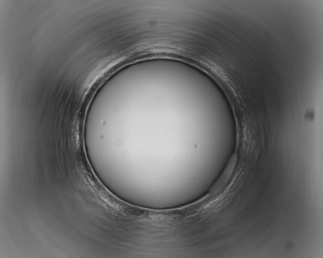 X0000116310782200912141357