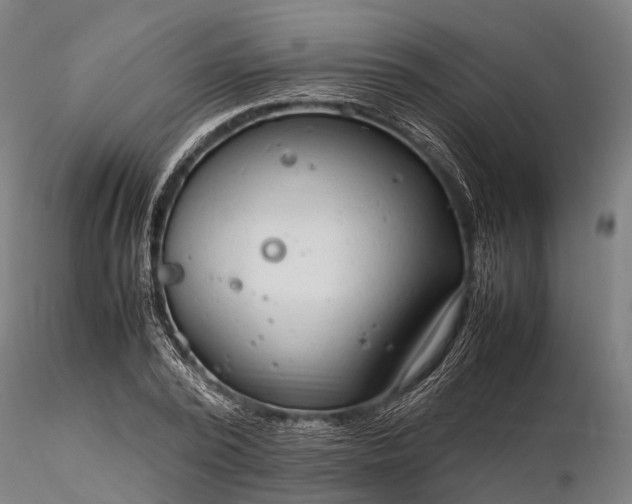 X0000116310784200912141357