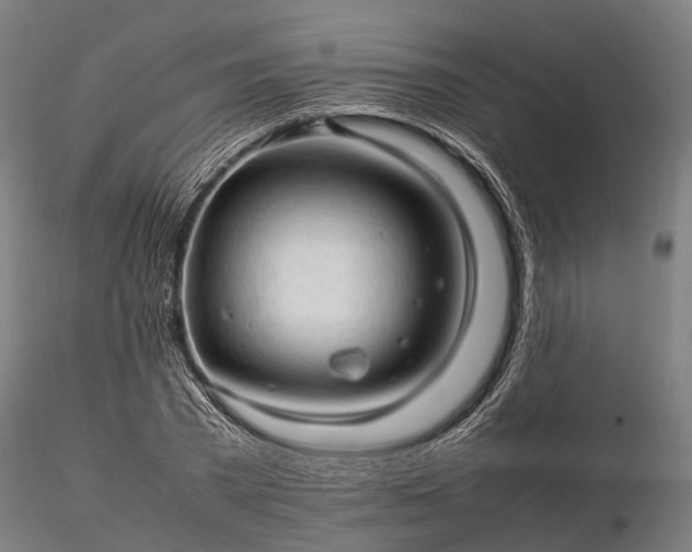 X0000116310785200912141357